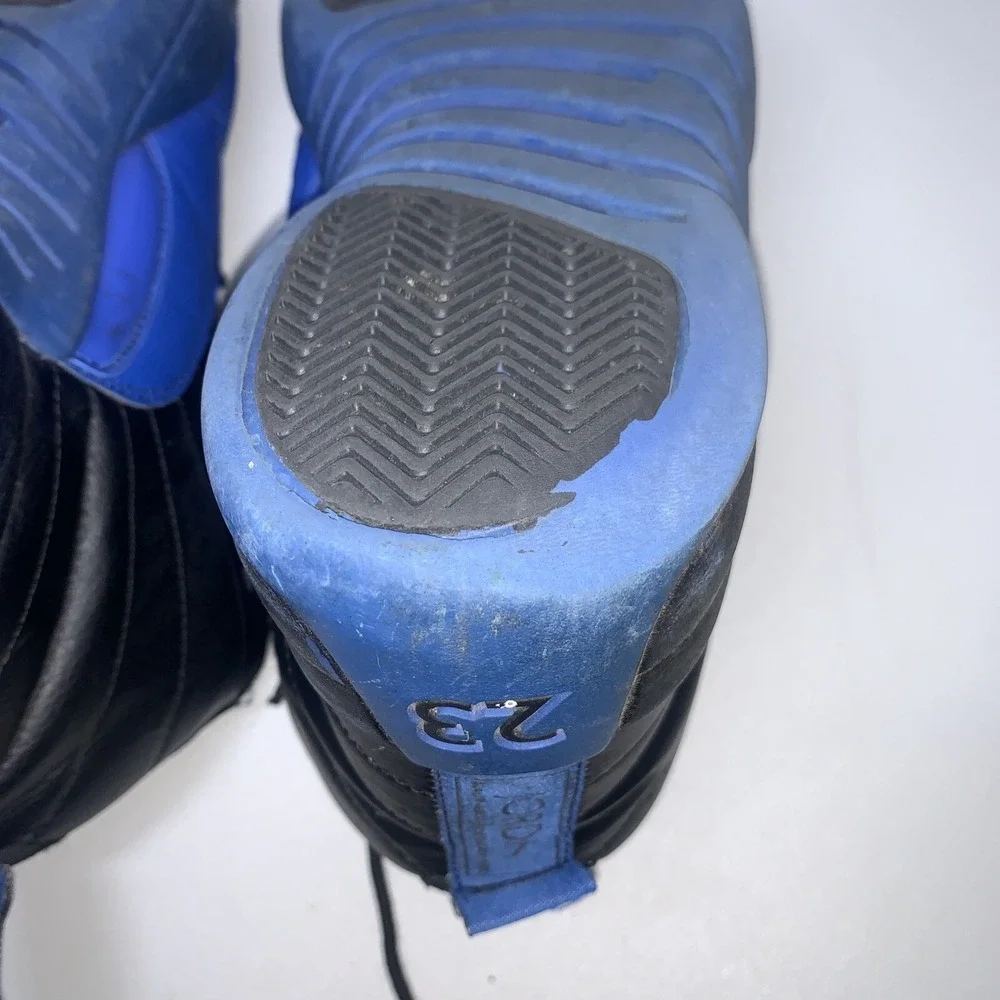 Air Jordan 12 Retro 